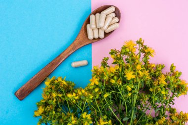 Doğal St Johns wort tıbbi gelen tıbbi kapsül