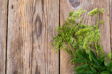 Ahşap masa üzerinde yaz kır çiçekleri