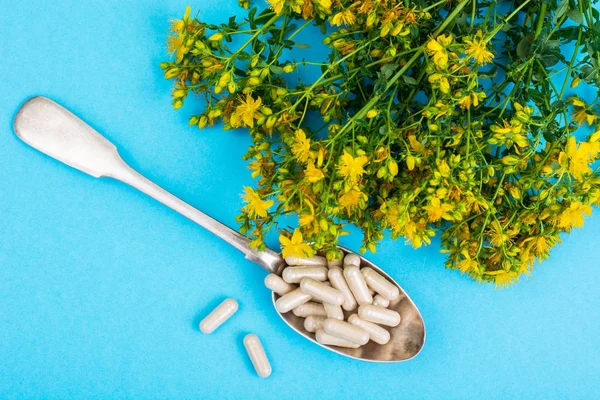 Doğal St Johns wort tıbbi gelen tıbbi kapsül