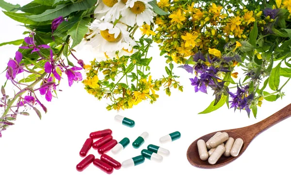 Homeopathy. Herbal capsules, medicinal plants on white backgroun — Stock Photo, Image