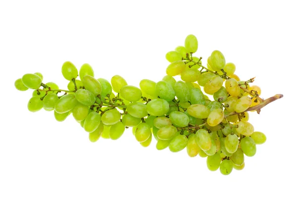 Tak van groene druiven op witte achtergrond — Stockfoto