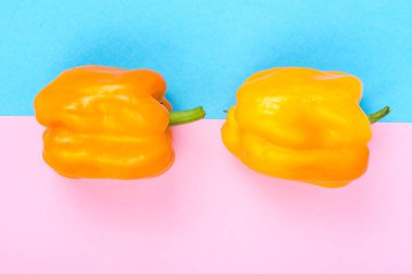 Pastel zemin üzerine sarı tatlı biber