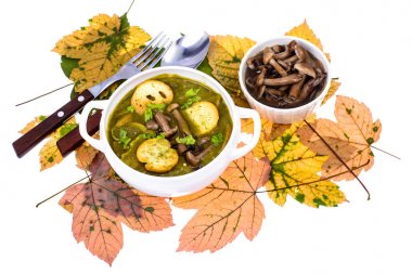 Mantar yemekleri. Sonbahar orman mantar çorbası