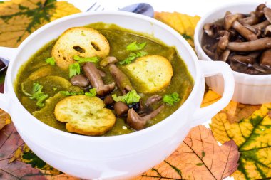 Mantar yemekleri. Sonbahar orman mantar çorbası