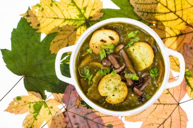 Mantar yemekleri. Sonbahar orman mantar çorbası