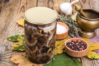 Sonbahar orman Marine mantar cam, tuz, baharat ahşap tablo