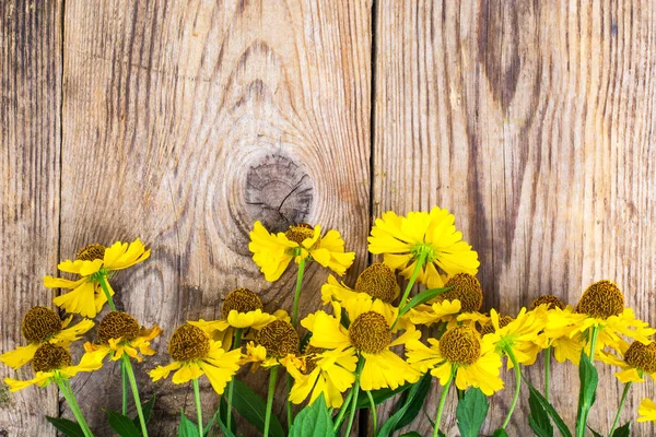 Helenium Bahçe sarı çiçek