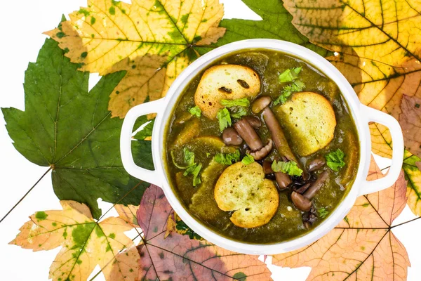 Mantar yemekleri. Sonbahar orman mantar çorbası