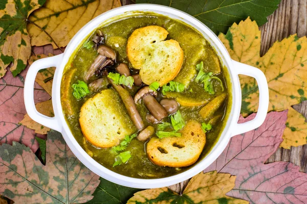 Mantar yemekleri. Sonbahar orman mantar çorbası