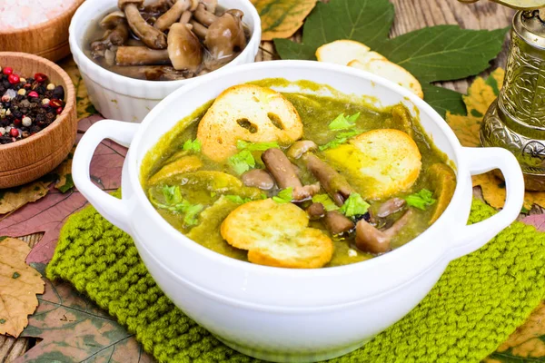 Mantar yemekleri. Sonbahar orman mantar çorbası