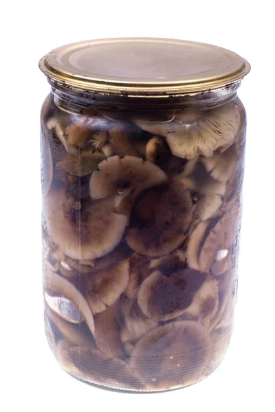Cogumelos marinados em frasco de vidro sobre fundo branco — Fotografia de Stock