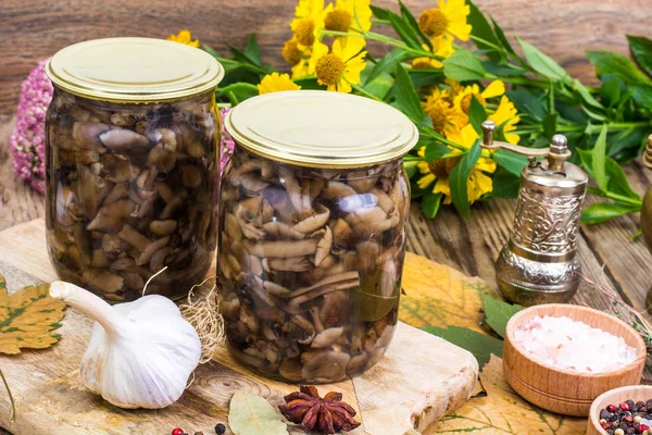 Cogumelos marinados de floresta outonal em jarra de vidro, sal, temperos em mesa de madeira — Fotografia de Stock