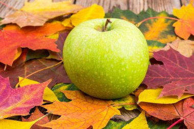 Yeşil elma sonbahar arka plan üzerinde bırakır