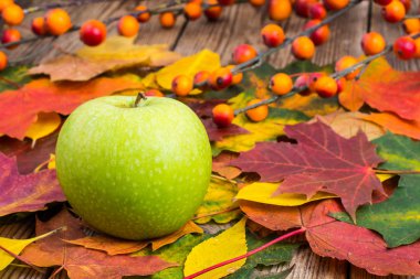 Yeşil elma sonbahar arka plan üzerinde bırakır