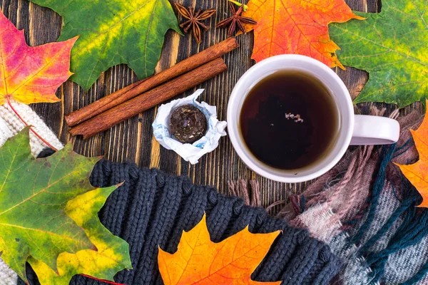 Sonbahar çay ile sıcak Kupası