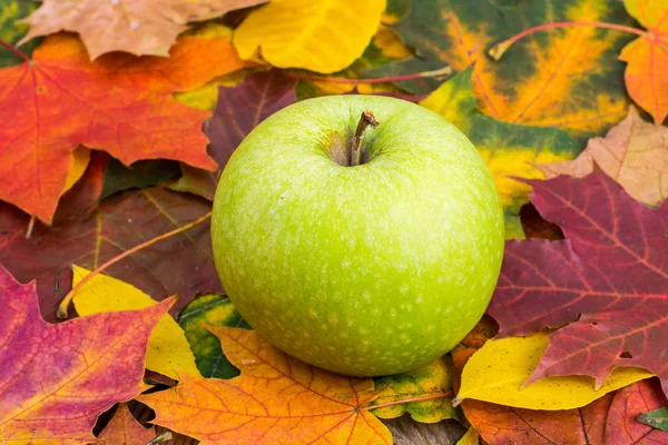 Yeşil elma sonbahar arka plan üzerinde bırakır
