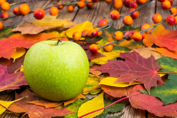 Yeşil elma sonbahar arka plan üzerinde bırakır