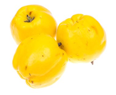 Ayva güzel kokulu sarı beyaz arka plan üzerinde