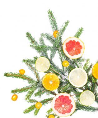 Ladin, yeni yıl ve Noel dalı dekore edilmiş meyve ile