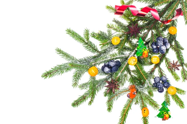 Новогодняя и рождественская ветвь ели, украшенная фруктами — стоковое фото