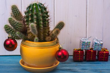 Yeni yılda tropikal sıcak iklim kavramı. Kaktüs oyuncak ve hediye kutuları ile Noel ağacı olarak