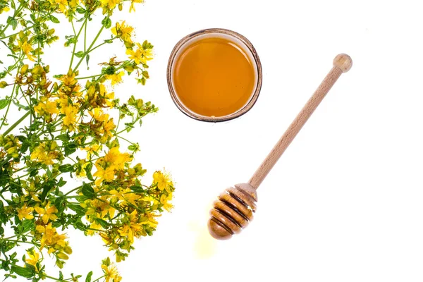 시럽 및 약용 식물에서 꿀 — 스톡 사진