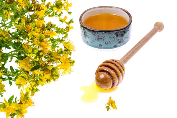 Jarabe y miel de plantas medicinales —  Fotos de Stock