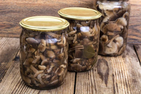 Latas hechas en casa. Frascos de vidrio con champiñones en vinagre —  Fotos de Stock