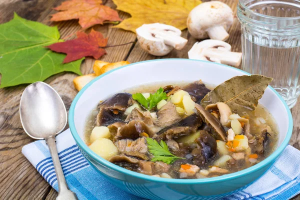 マッシュルームとポテトのおいしい自家製スープ — ストック写真