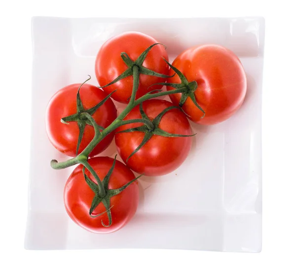 Tomatoes on branch in plate on white background — Stock Photo, Image