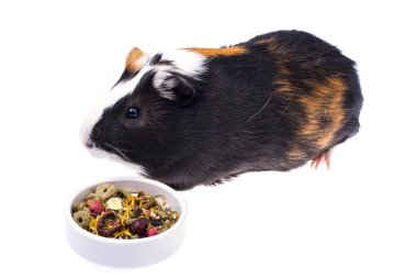 Yemek için yerli eskiden şiling şimdi pigs