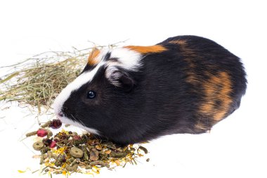 Yemek için yerli eskiden şiling şimdi pigs