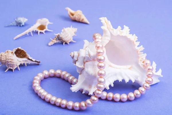 Nádherný perlový náhrdelník — Stock fotografie
