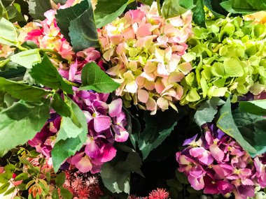 Parlak çiçek arka plan, metin için yer