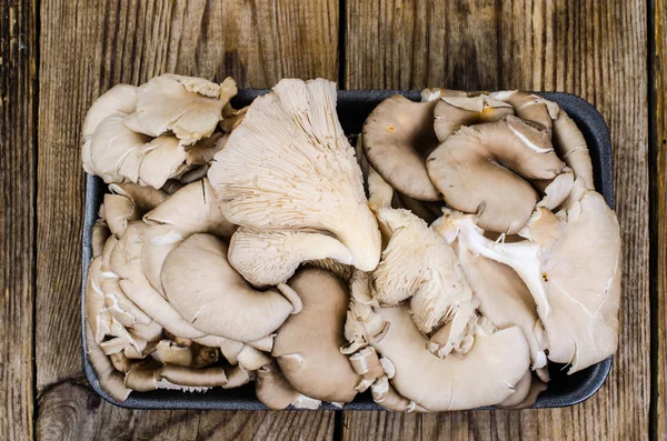 Champignons d'huîtres frais en emballage noir — Photo