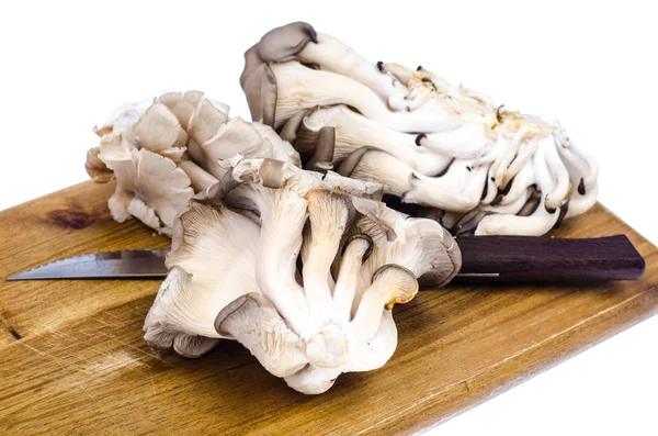 Mutfak kesim üzerinde taze mantar