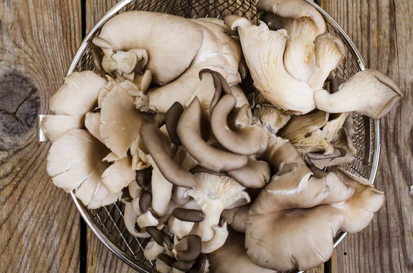 Champignons d'huîtres crus sur table en bois — Photo