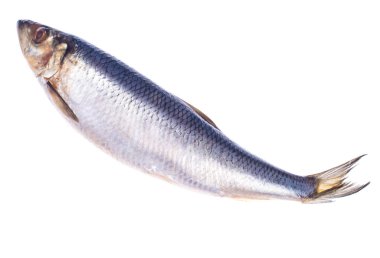 Tuzlu ringa beyaz arka plan üzerinde izole