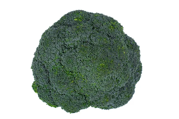 Kopf aus grünem Brokkoli isoliert auf weißem Hintergrund — Stockfoto