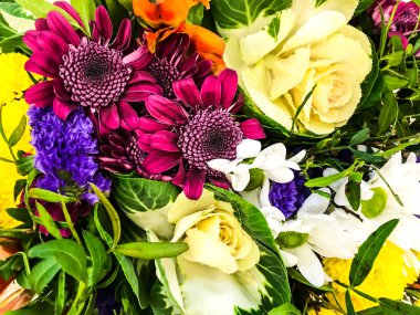 Parlak arka plan, farklı taze çiçeklerdoku