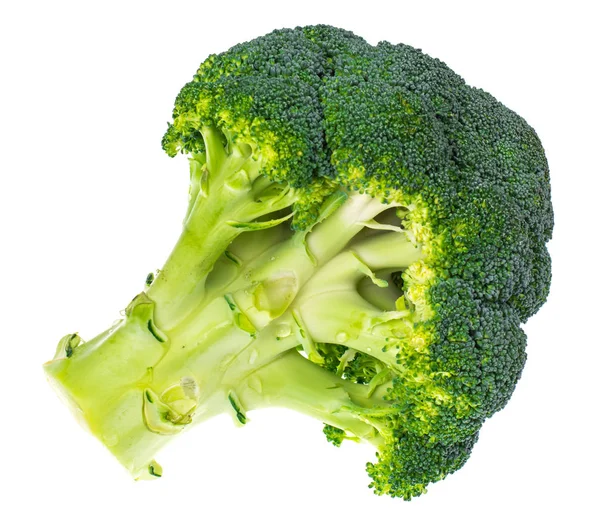 Hoofd van groene broccoli geïsoleerd op witte achtergrond — Stockfoto