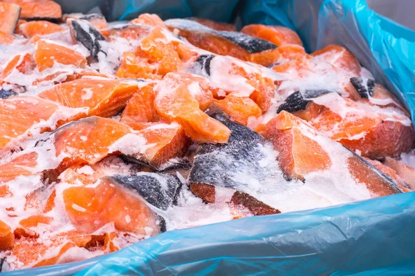 Rodajas de salmón congeladas sobre hielo — Foto de Stock