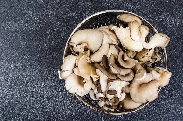 Champignons huîtres pour la cuisson sur fond gris — Photo