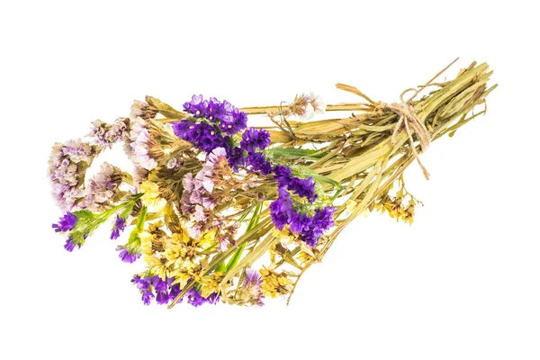 Droge bloemen van kermek, limonium — Stockfoto