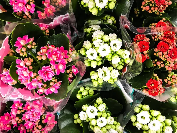 Ramos de flores en el supermercado, vista superior — Foto de Stock