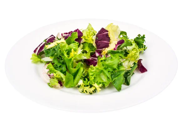 Veganska sallad på färska färgade blad — Stockfoto