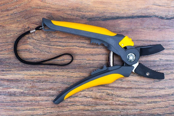 Secateurs ağaçlar ve çalılar, Bahçe aletleri dalları için — Stok fotoğraf