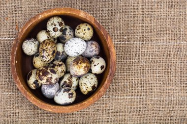 Rengarenk boyama, Paskalya kavramı Bıldırcın yumurta