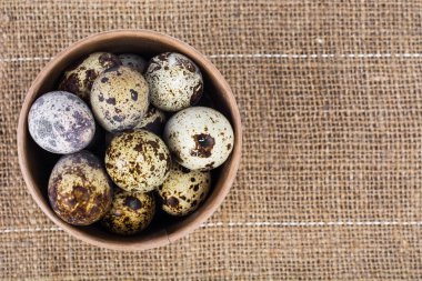 Rengarenk boyama, Paskalya kavramı Bıldırcın yumurta