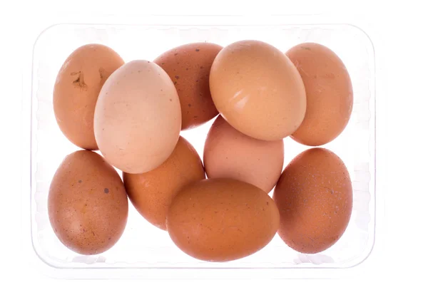 Свежие куриные яйца в пластиковой коробке — стоковое фото
